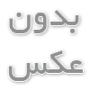 نکات کلیدی برای خرید گربه پرشین